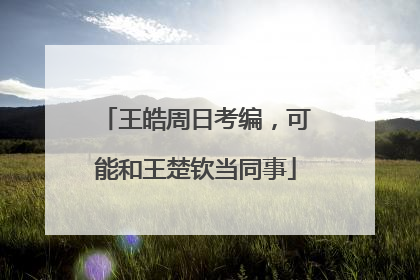 王皓周日考编，可能和王楚钦当同事