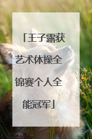 王子露获艺术体操全锦赛个人全能冠军