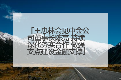 王忠林会见中金公司董事长陈亮 持续深化务实合作 做强支点建设金融支撑