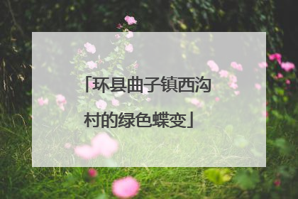 环县曲子镇西沟村的绿色蝶变