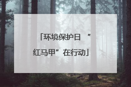 环境保护日 “红马甲”在行动