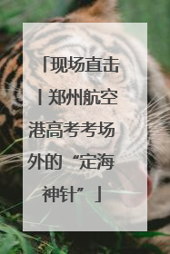 现场直击丨郑州航空港高考考场外的“定海神针”