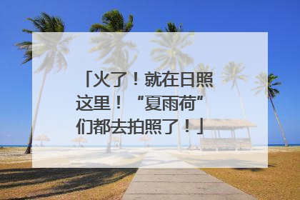 火了！就在日照这里！“夏雨荷”们都去拍照了！