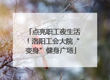 点亮职工夜生活！洛阳工会大院“变身”健身广场
