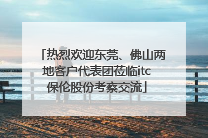 热烈欢迎东莞、佛山两地客户代表团莅临itc保伦股份考察交流