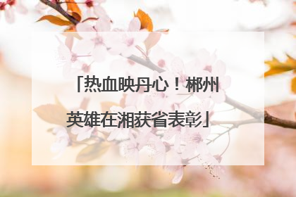 热血映丹心！郴州英雄在湘获省表彰