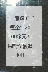 熊孩子“氪金”2000余元！民警全额追回