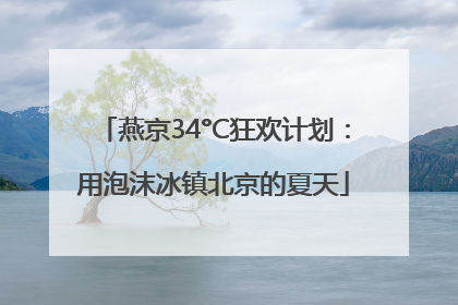 燕京34°C狂欢计划：用泡沫冰镇北京的夏天
