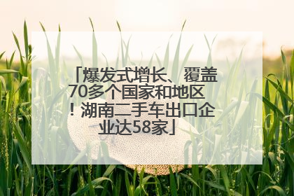 爆发式增长、覆盖70多个国家和地区！湖南二手车出口企业达58家