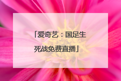爱奇艺：国足生死战免费直播