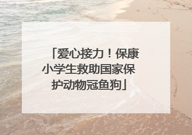 爱心接力！保康小学生救助国家保护动物冠鱼狗