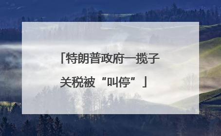 特朗普政府一揽子关税被“叫停”