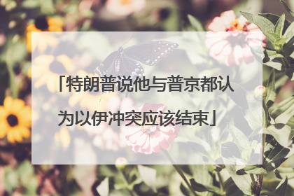 特朗普说他与普京都认为以伊冲突应该结束