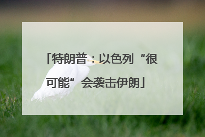 特朗普：以色列“很可能”会袭击伊朗