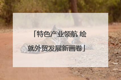 特色产业领航 绘就外贸发展新画卷