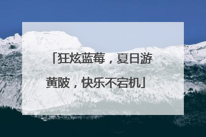 狂炫蓝莓，夏日游黄陂，快乐不宕机