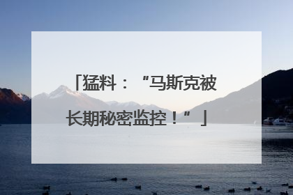猛料：“马斯克被长期秘密监控！”