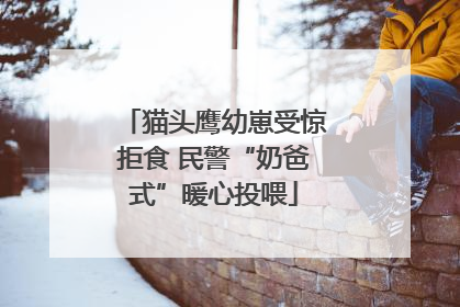 猫头鹰幼崽受惊拒食 民警“奶爸式”暖心投喂