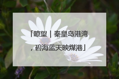 瞭望｜秦皇岛港湾，碧海蓝天映煤港