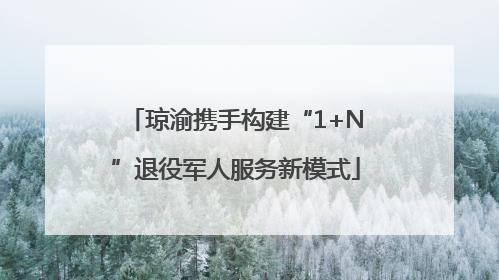琼渝携手构建“1+N”退役军人服务新模式
