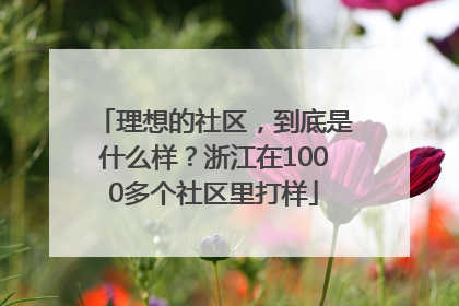 理想的社区，到底是什么样？浙江在1000多个社区里打样