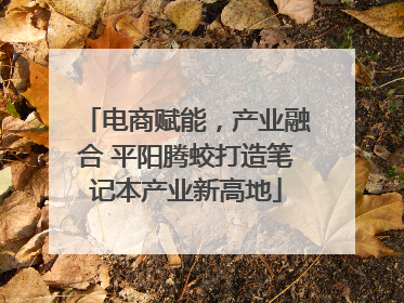 电商赋能，产业融合 平阳腾蛟打造笔记本产业新高地