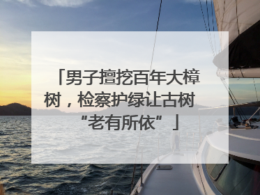 男子擅挖百年大樟树，检察护绿让古树“老有所依”