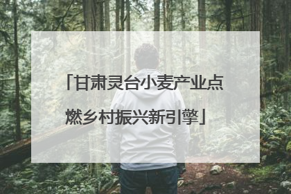 甘肃灵台小麦产业点燃乡村振兴新引擎