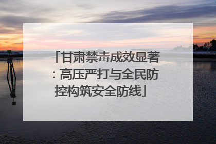 甘肃禁毒成效显著：高压严打与全民防控构筑安全防线