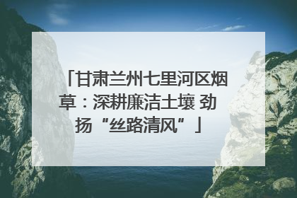 甘肃兰州七里河区烟草：深耕廉洁土壤 劲扬“丝路清风”