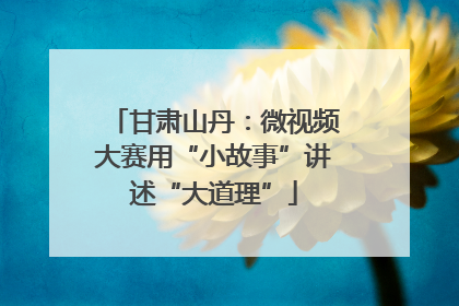 甘肃山丹：微视频大赛用“小故事”讲述“大道理”