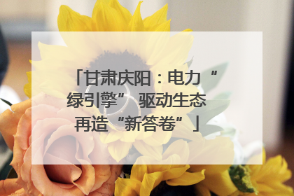甘肃庆阳：电力“绿引擎” 驱动生态再造“新答卷”