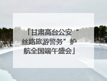 甘肃高台公安“丝路旅游警务”护航全国端午盛会