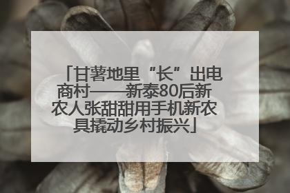 甘薯地里“长”出电商村——新泰80后新农人张甜甜用手机新农具撬动乡村振兴