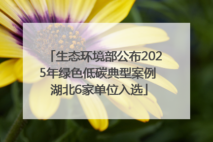 生态环境部公布2025年绿色低碳典型案例 湖北6家单位入选