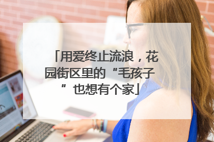 用爱终止流浪，花园街区里的“毛孩子”也想有个家