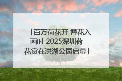 百万荷花开 簪花入画时 2025深圳荷花赏在洪湖公园启幕