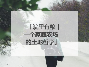皖里有粮｜一个家庭农场的土地哲学