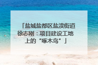 盐城盐都区盐渎街道徐志刚：项目建设工地上的“啄木鸟”