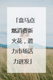盒马点燃消费新火花，潜力市场活力迸发