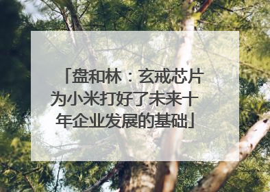 盘和林：玄戒芯片为小米打好了未来十年企业发展的基础