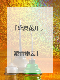 盛夏花开，凌霄攀云