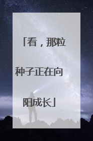 看，那粒种子正在向阳成长