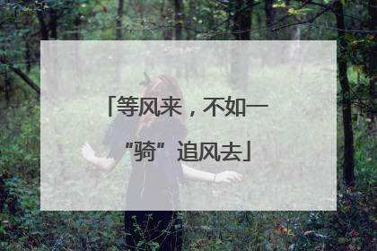 等风来，不如一“骑”追风去