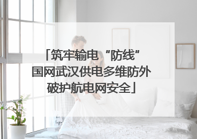 筑牢输电“防线” 国网武汉供电多维防外破护航电网安全