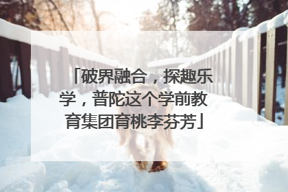 破界融合，探趣乐学，普陀这个学前教育集团育桃李芬芳