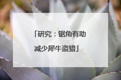 研究：锯角有助减少犀牛盗猎