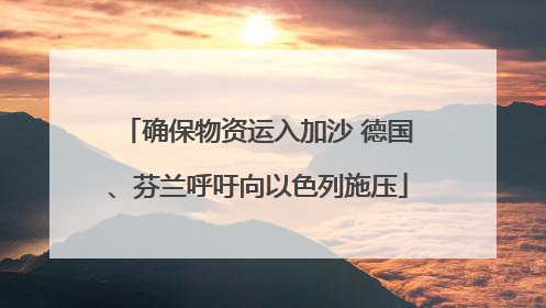 确保物资运入加沙 德国、芬兰呼吁向以色列施压