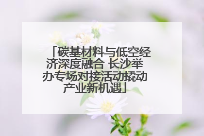 碳基材料与低空经济深度融合 长沙举办专场对接活动撬动产业新机遇