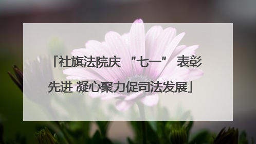 社旗法院庆 “七一” 表彰先进 凝心聚力促司法发展